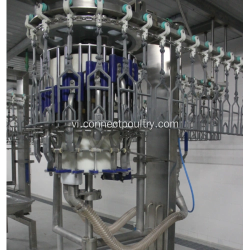 lột xác gà hoàn toàn tự động